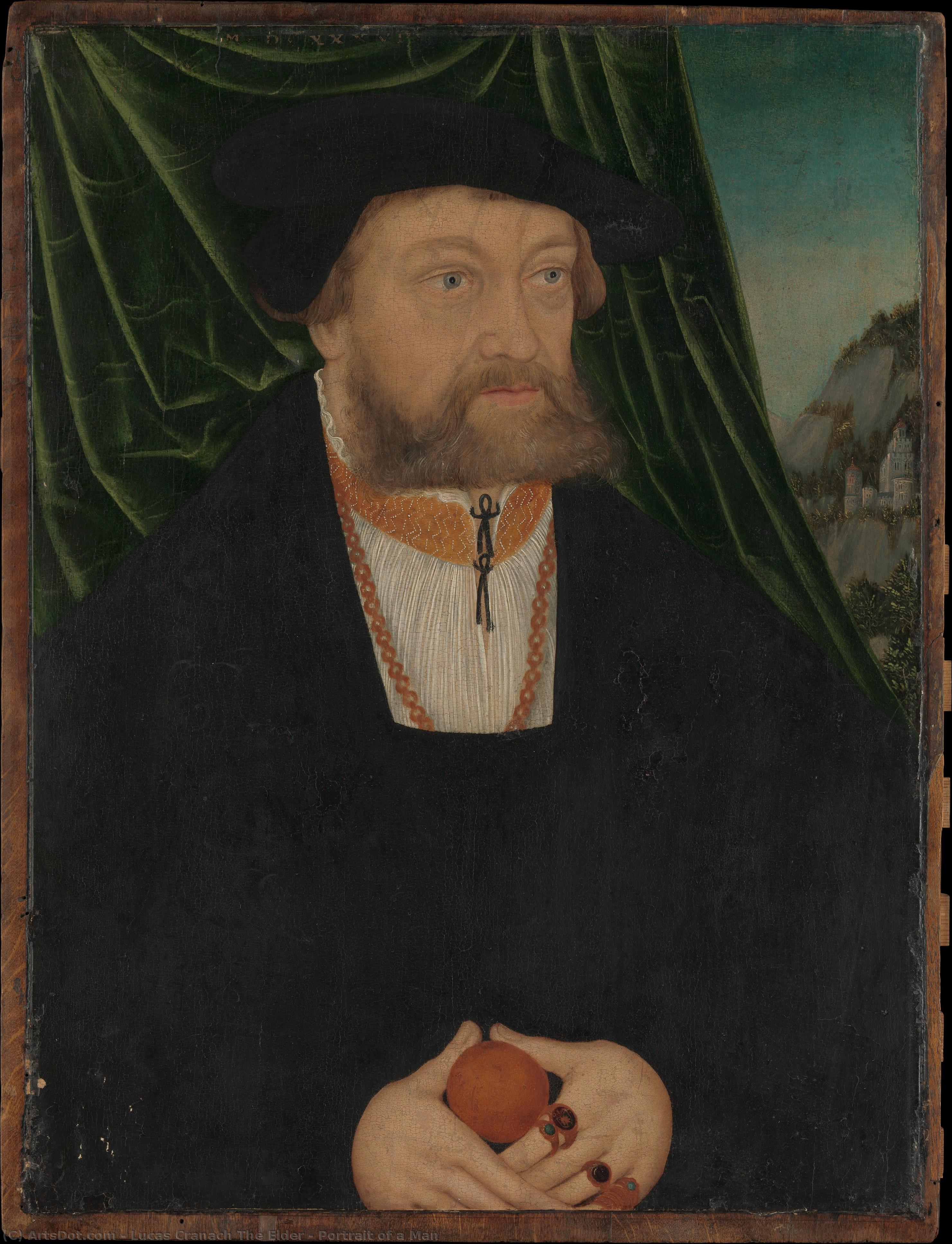 Portrait Of A Man — Lucas Cranach The Elder