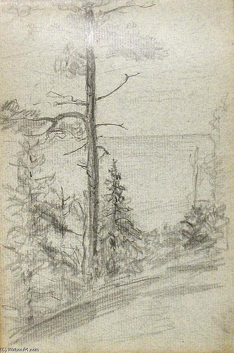 Tree By Lake — John Ottis Adams