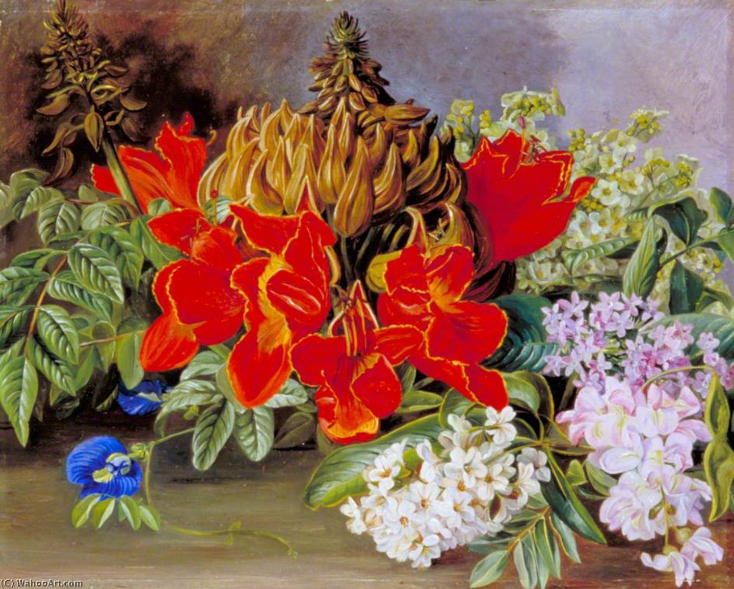 Cultivated And Wild Flowers, Jamaica — Marianne North