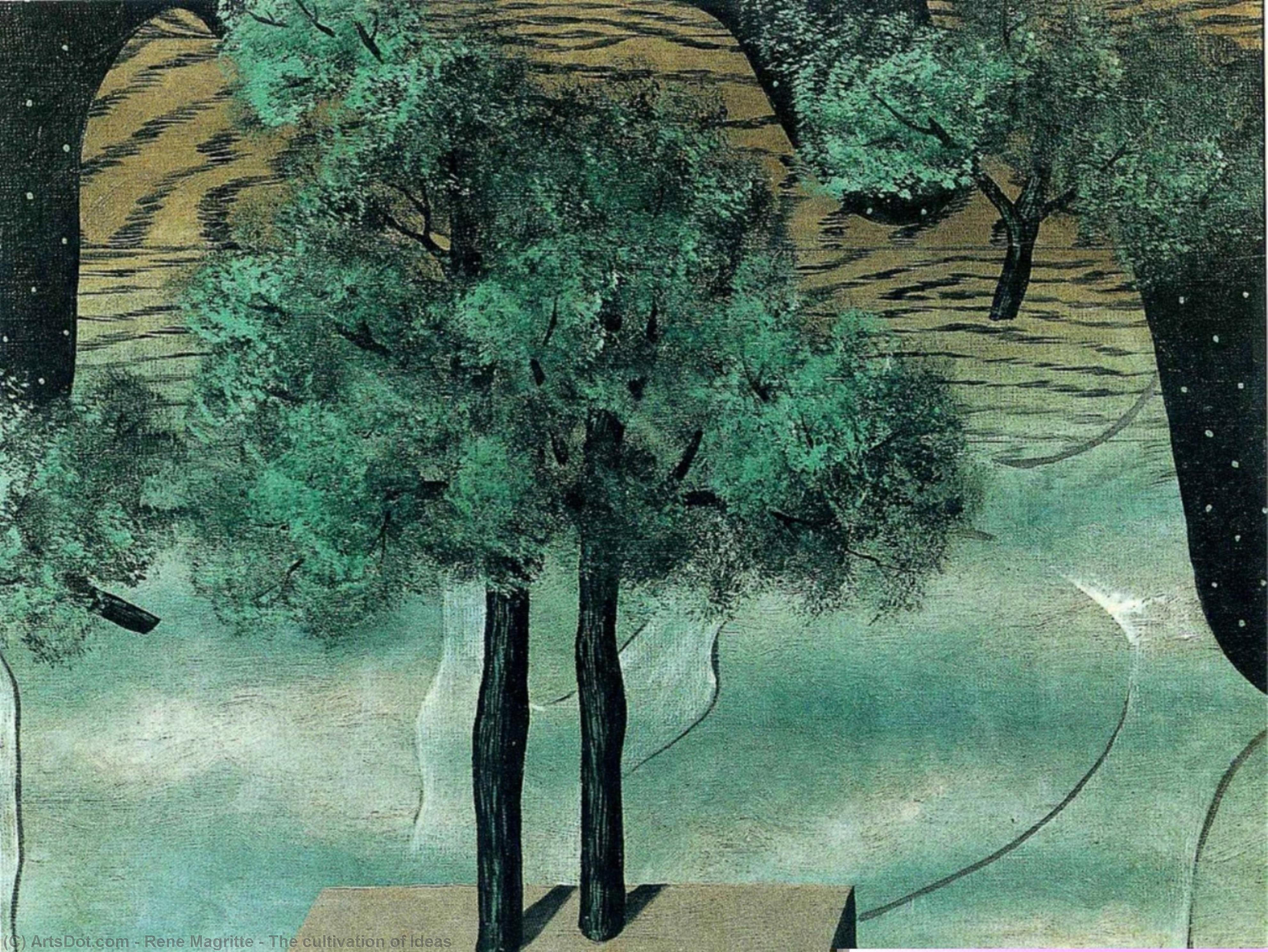 The Cultivation Of Ideas — René Magritte