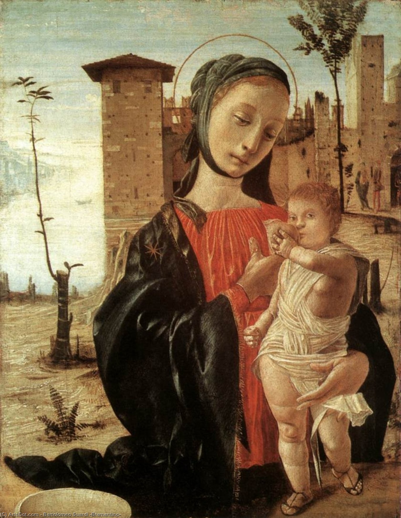 Madonna Del Latte — Bartolomeo Suardi (bramantino)