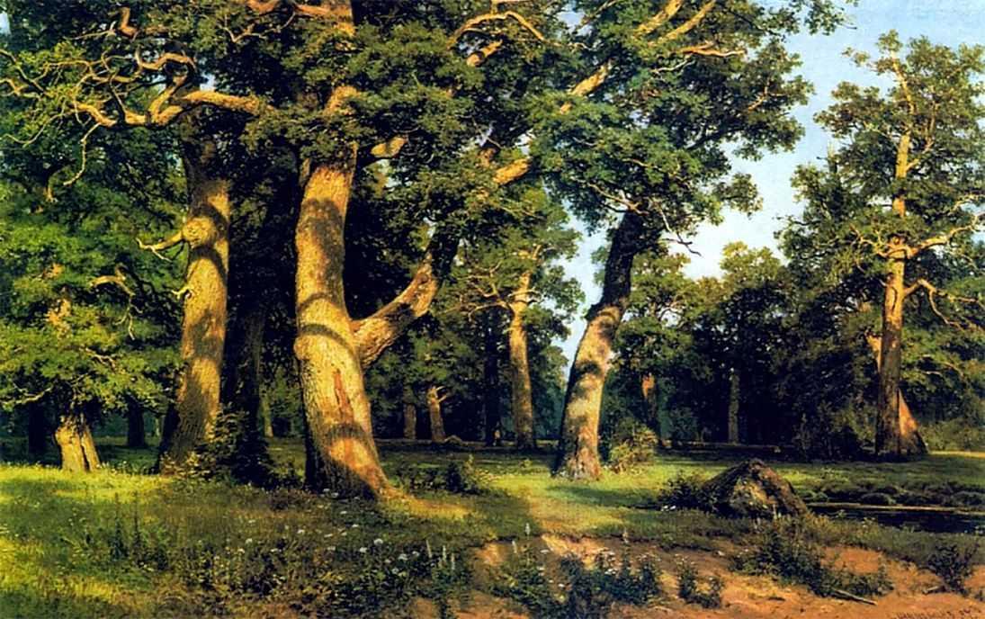 Oak-wood — Ivan Ivanovich Shishkin