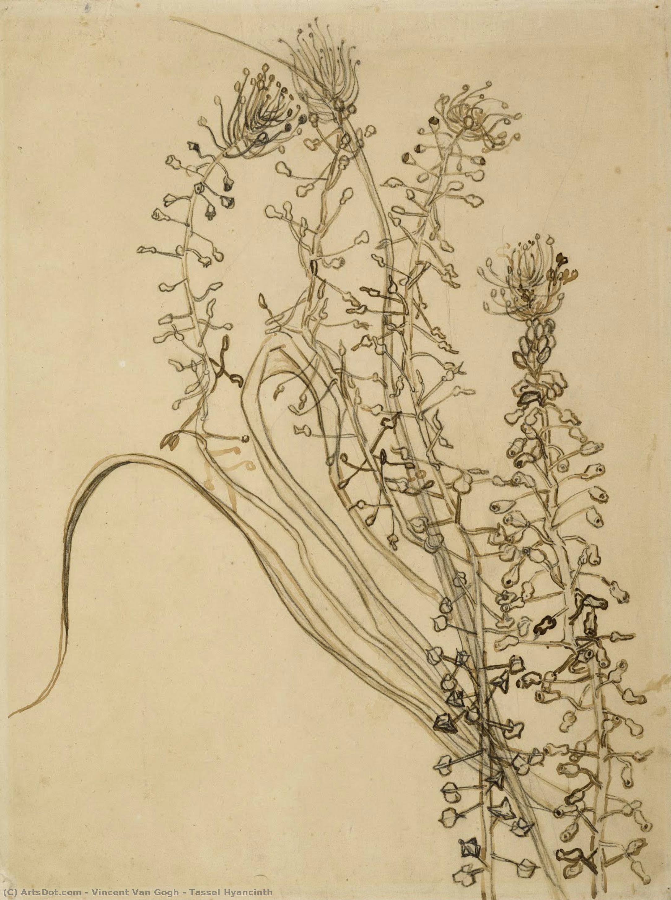 Tassel Hyancinth — Vincent Willem Van Gogh