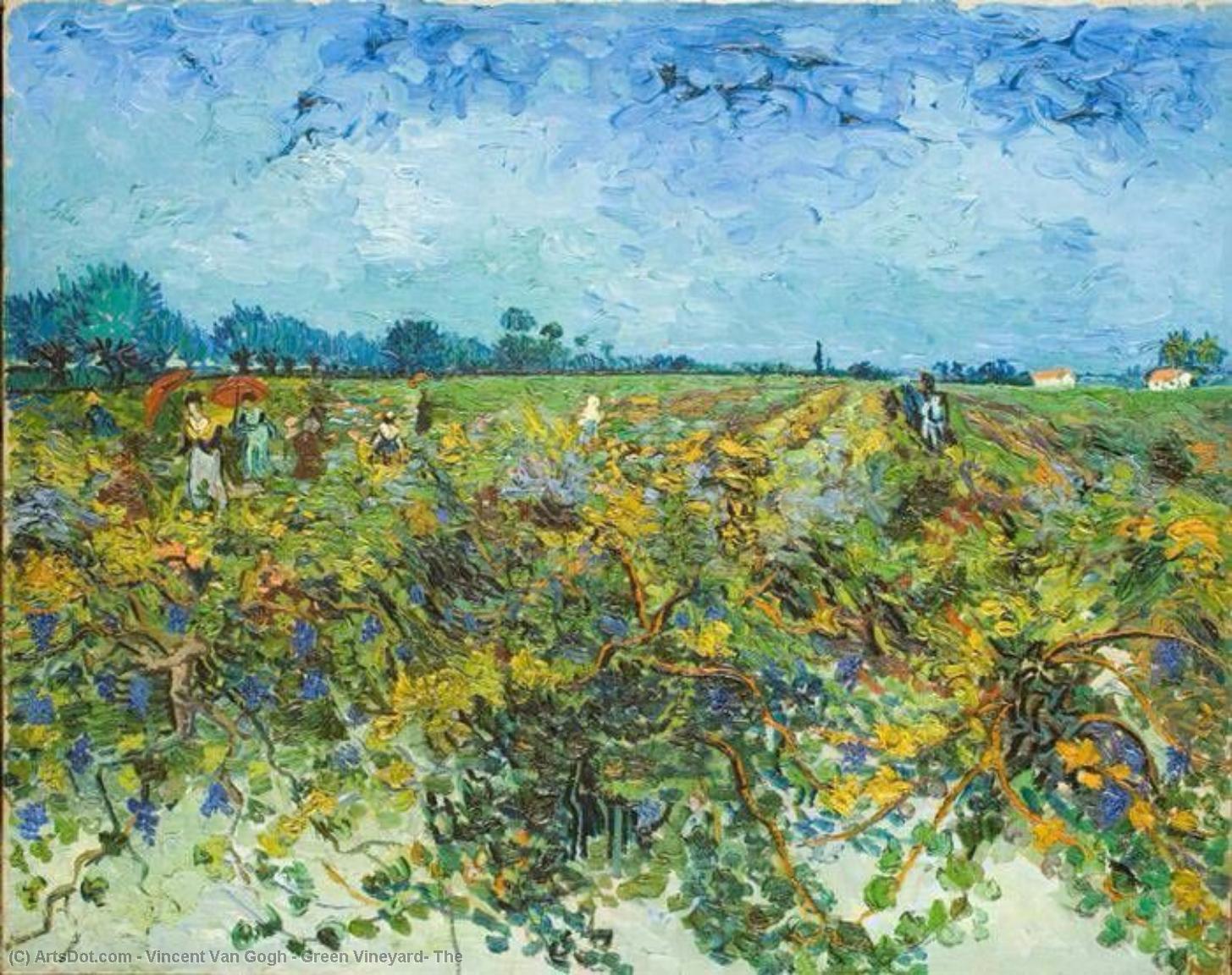 Green Vineyard, The — Vincent Willem Van Gogh