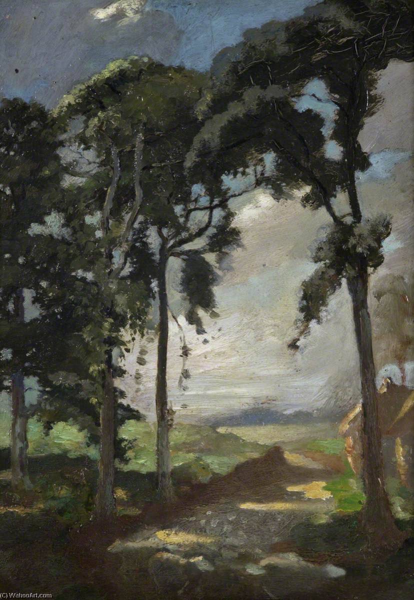 Scots Pines — Hugh Munro