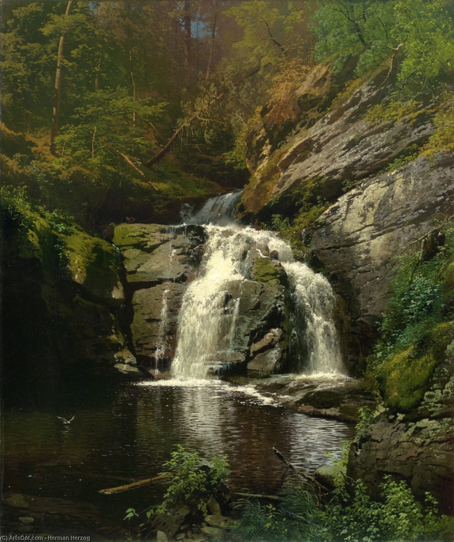 Buck Hills Falls (pennsylvania) — Herman Herzog