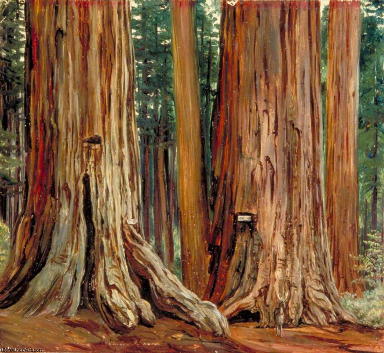 'castor And Pollux' In The Calaveras Grove Of Big Trees, California — Marianne North