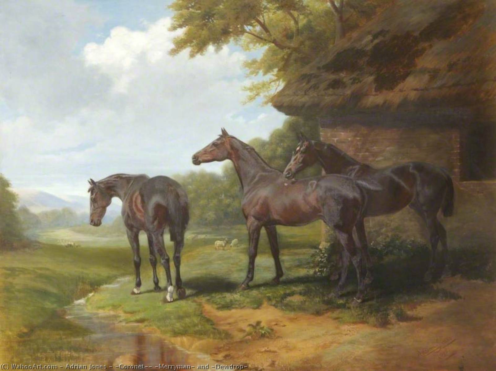 'coronet', 'merryman' And 'dewdrop' — Adrian Jones