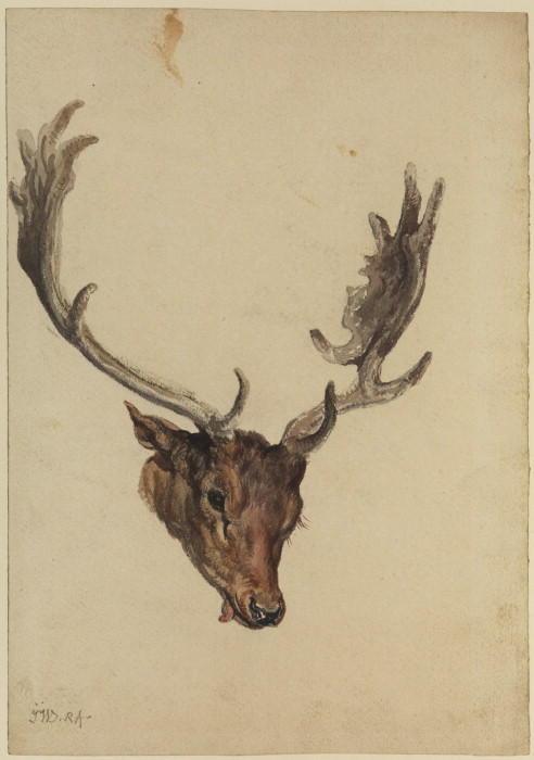 Head Of A Stag — James Ward