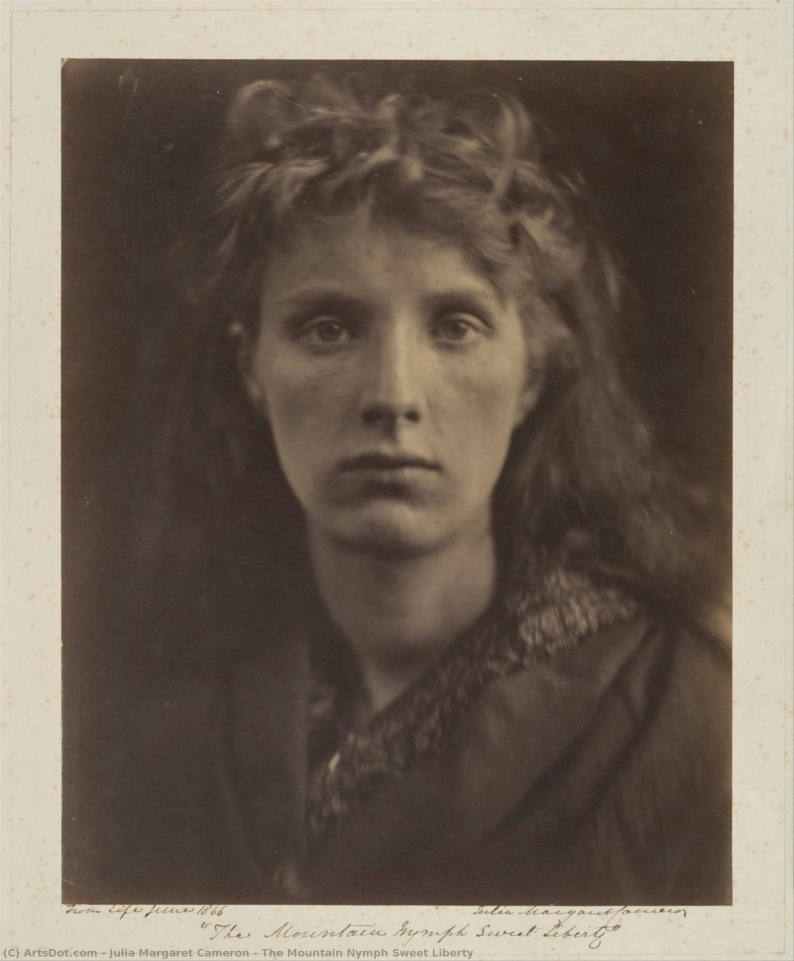 The Mountain Nymph Sweet Liberty — Julia Margaret Cameron