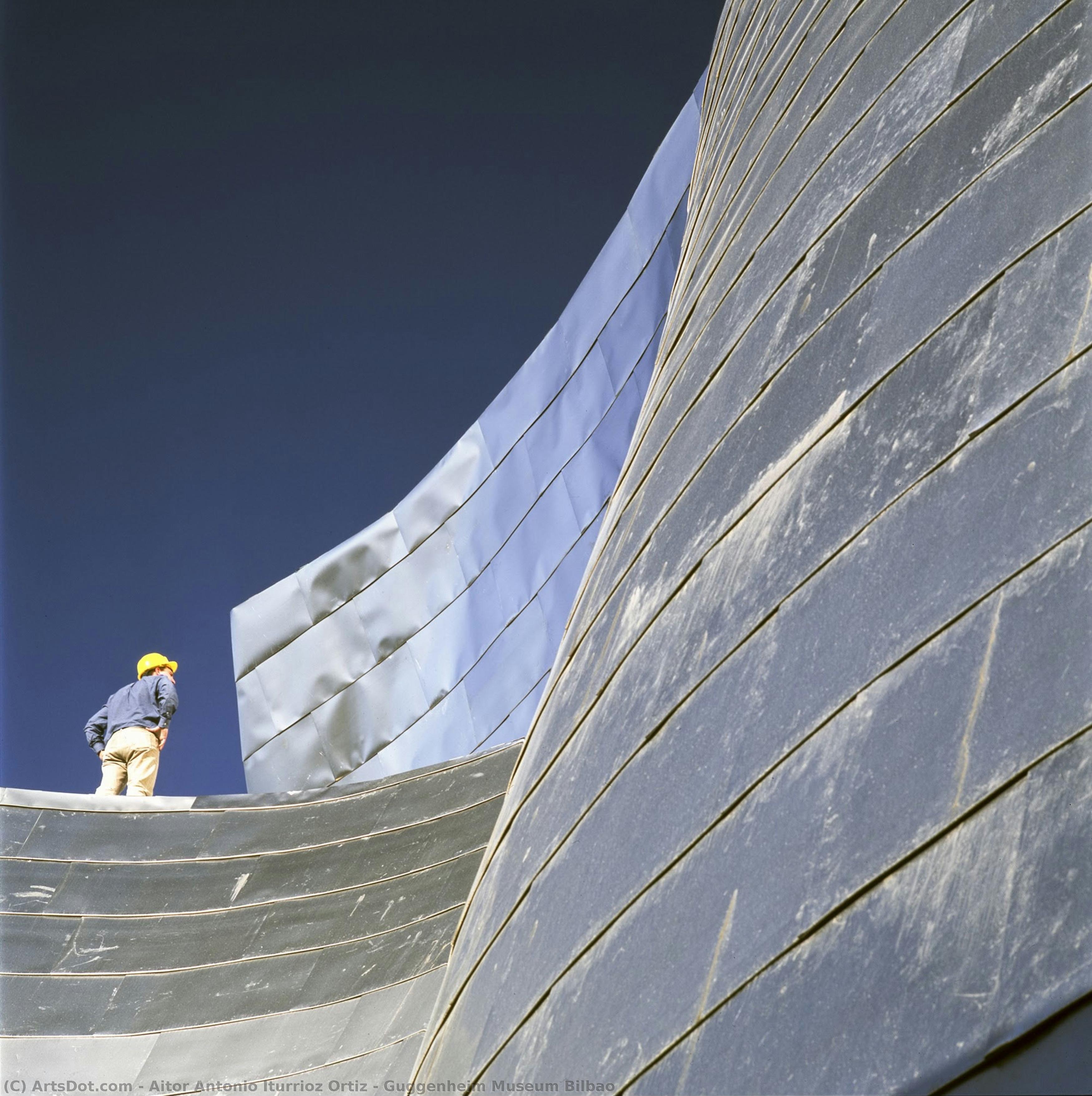 Guggenheim Museum Bilbao — Aitor Antonio Iturrioz Ortiz