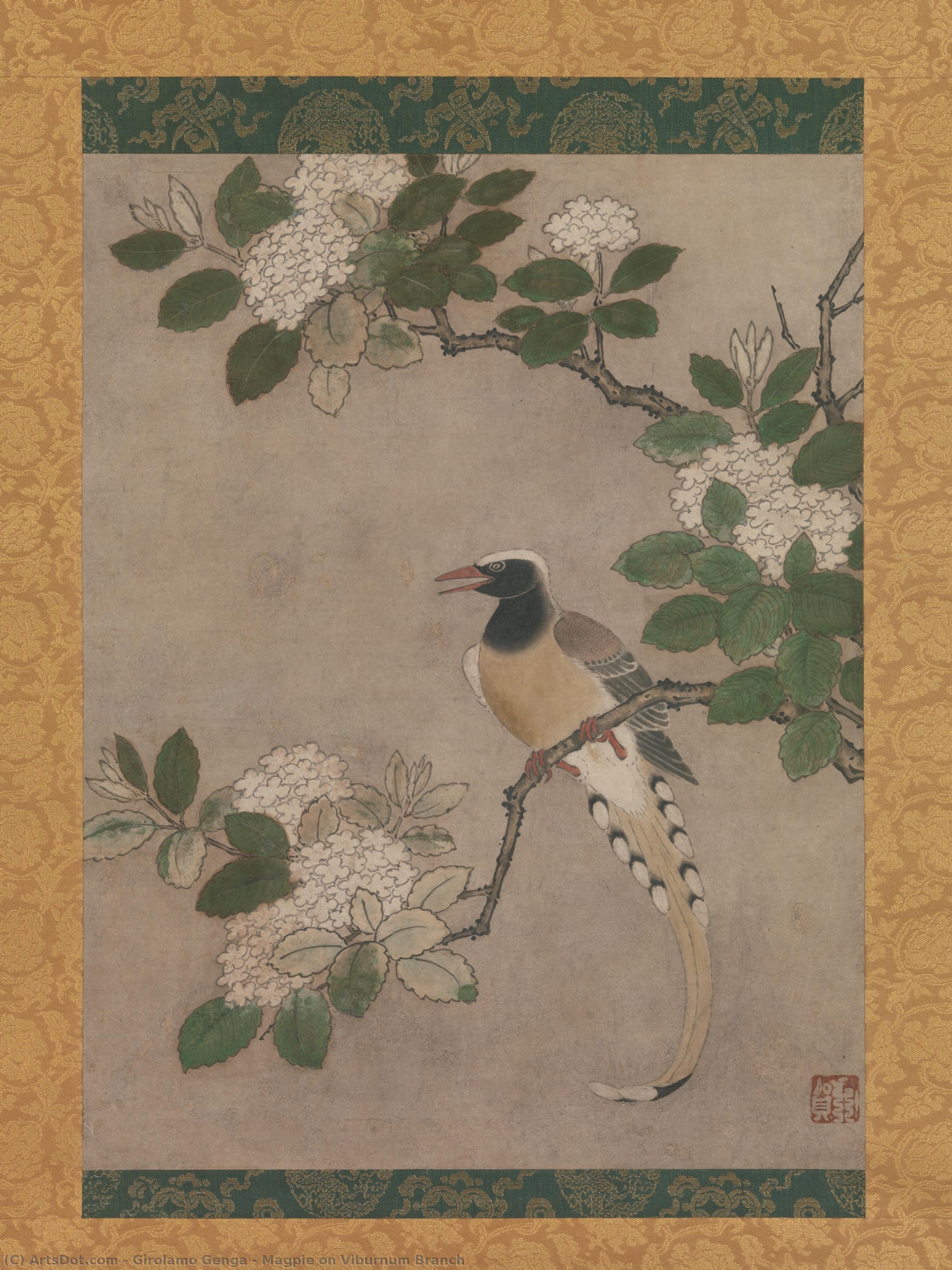 Magpie On Viburnum Branch — Girolamo Genga