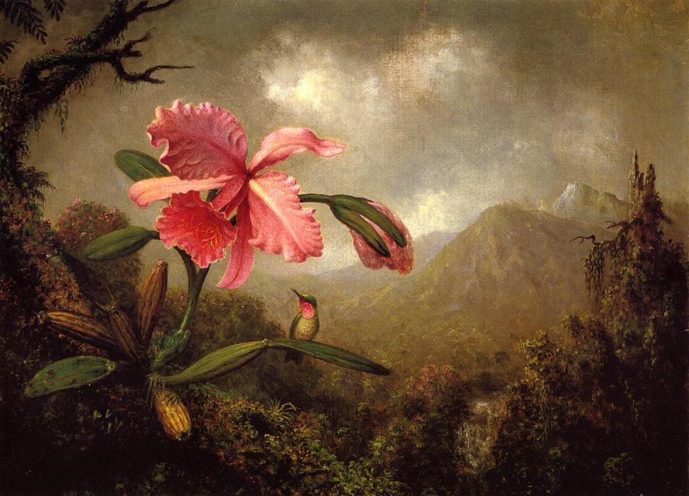 Orchid And Hummingbird Near A Mountain Waterfall — Martin Johnson Heade