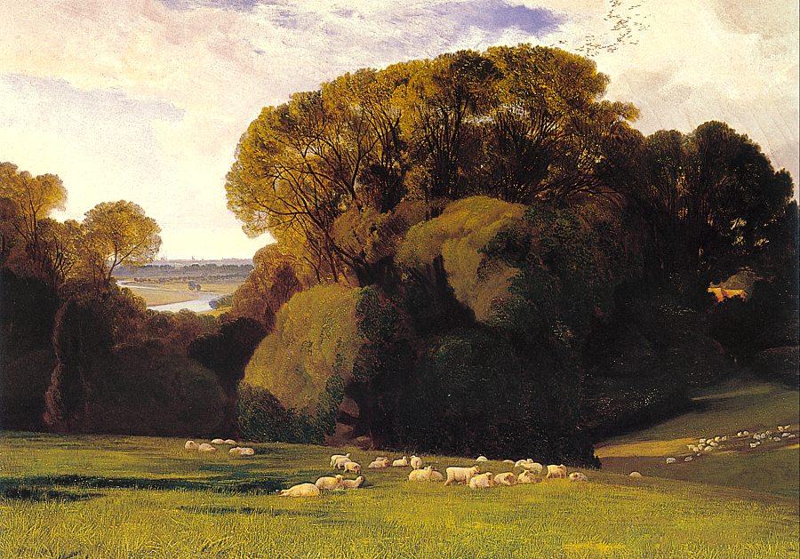 Nuneham — Edward Lear