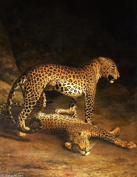 Two Leopards Lying In The Exeter — Jacques Laurent Agasse