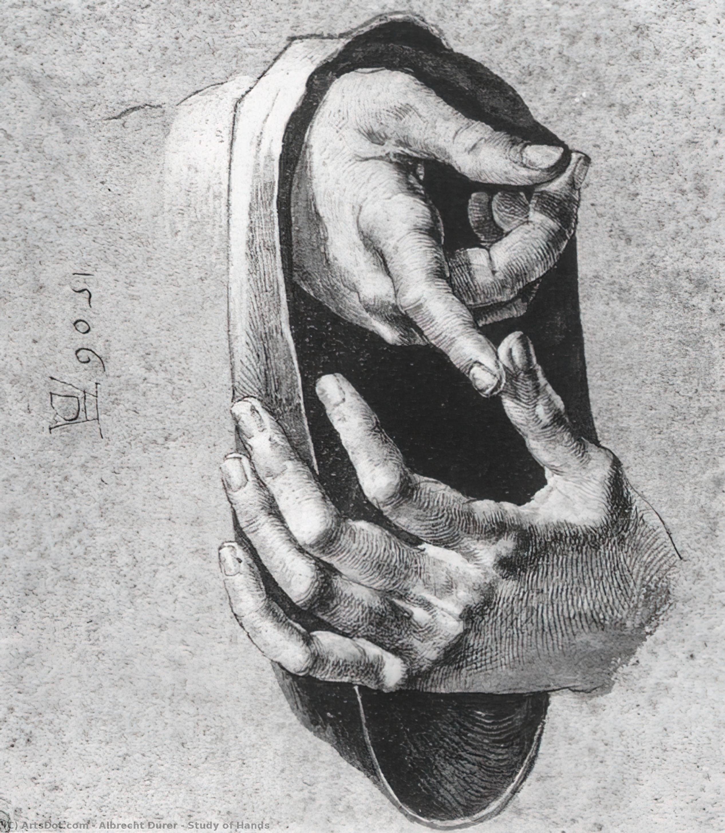 Study Of Hands — Albrecht Dürer