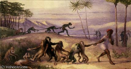 The Manners And Customs Of Monkeys — Richard Doyle