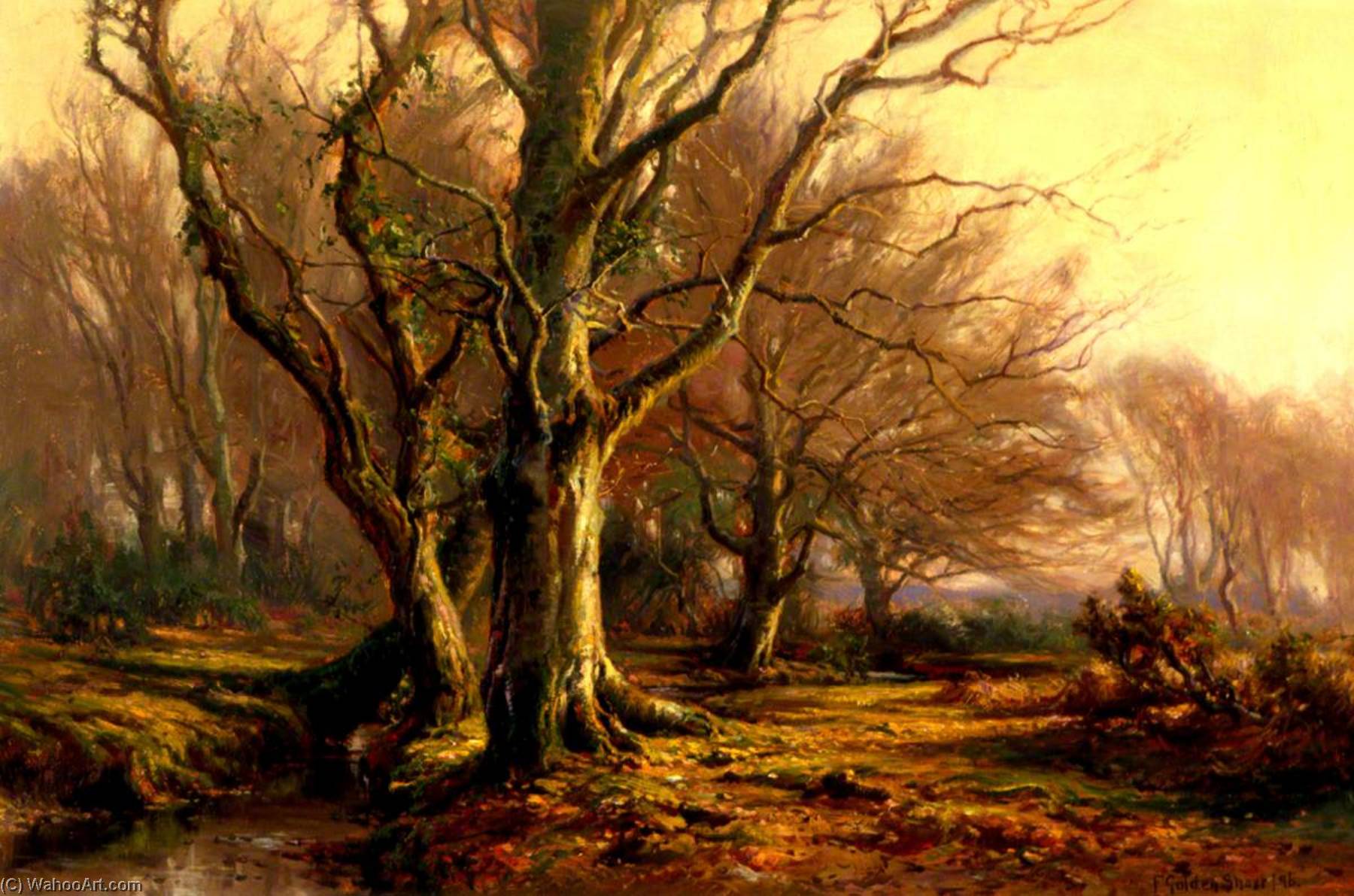 Trees And River, New Forest — Frederick Golden Short
