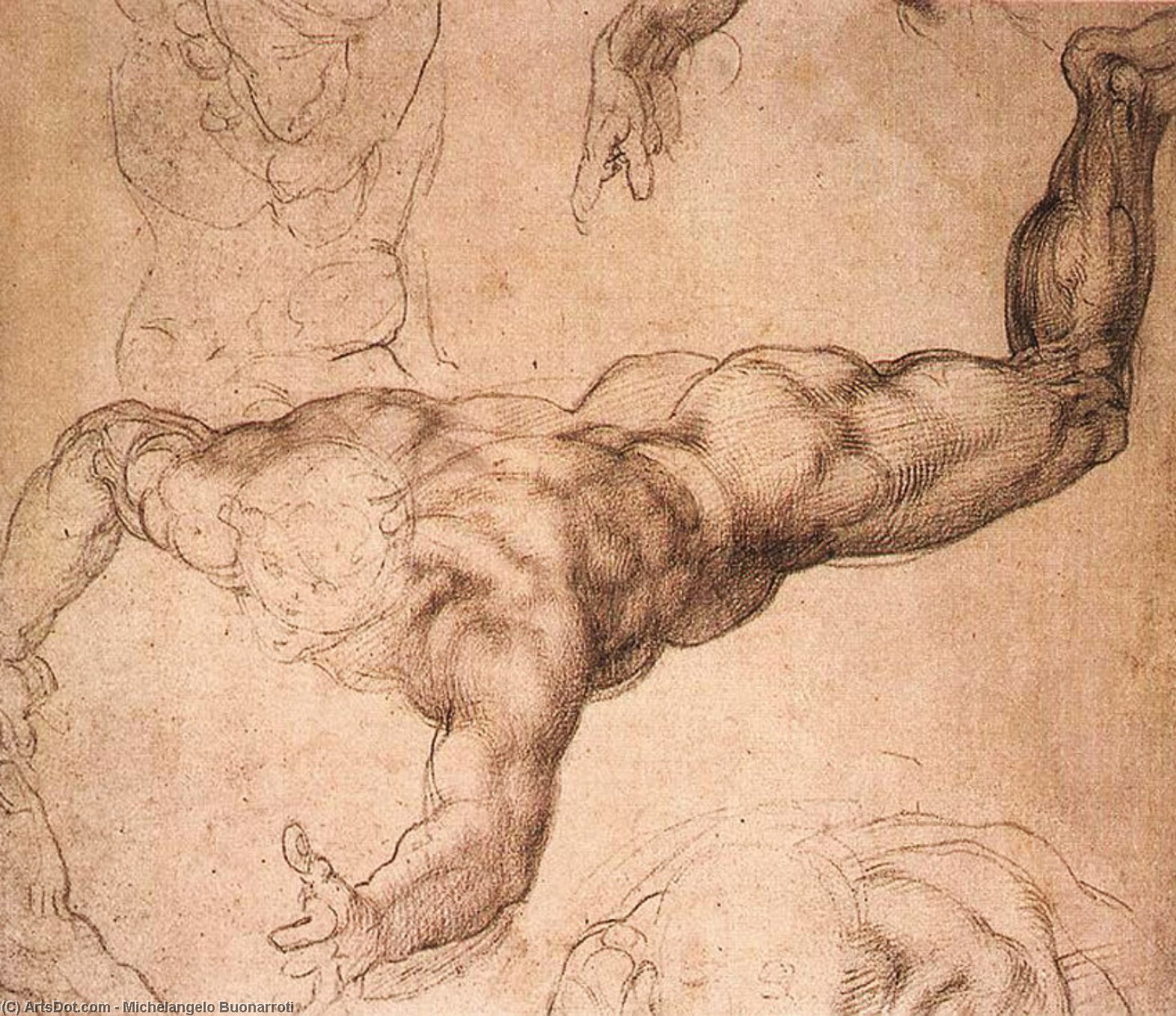 Sistine Chapel-male Figure — Michelangelo Buonarroti