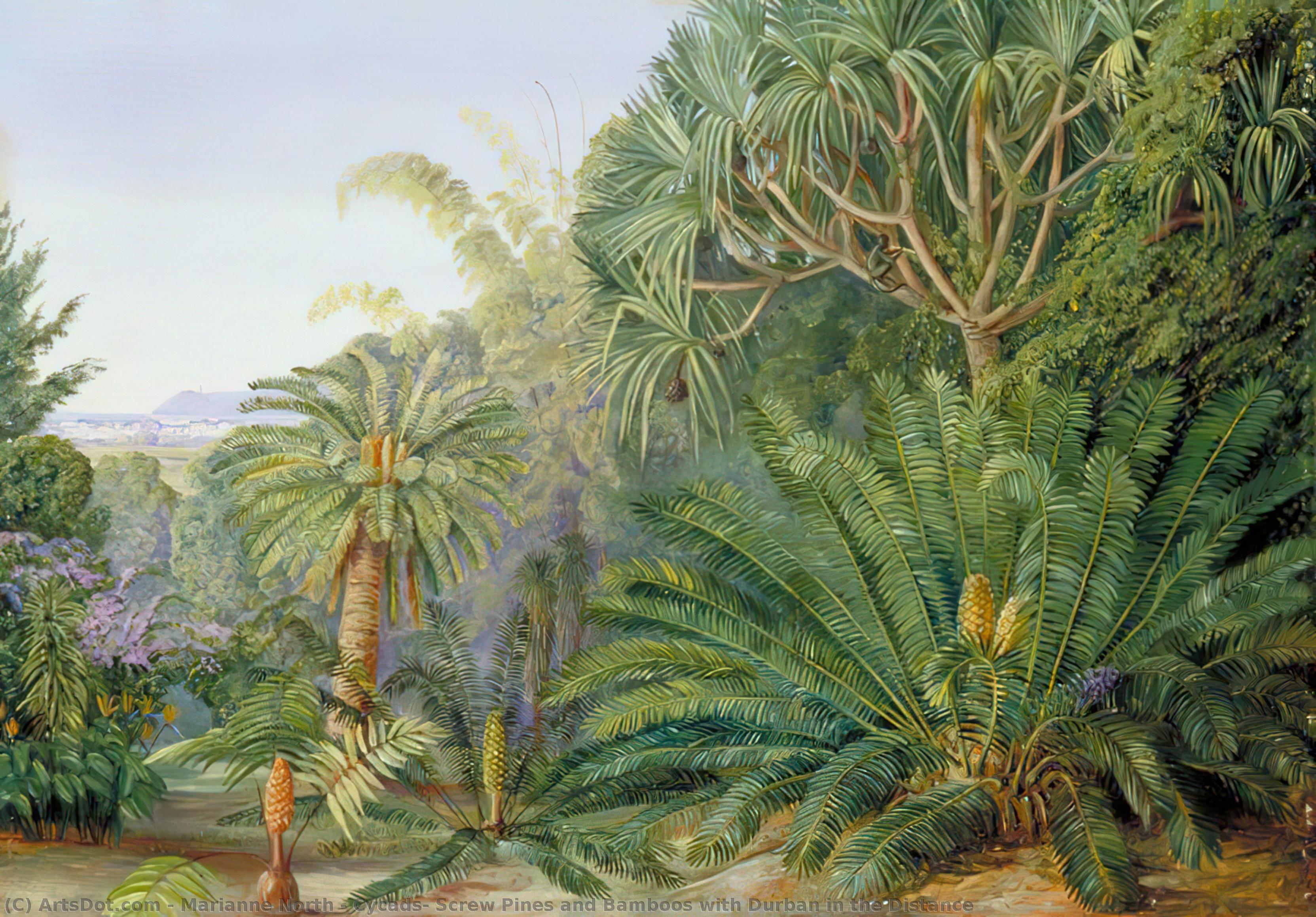 Cycads, Screw Pines And Bamboos With Durban In The Distance — Marianne North