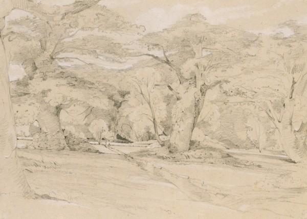 Landscape With Trees — John Frederick Lewis