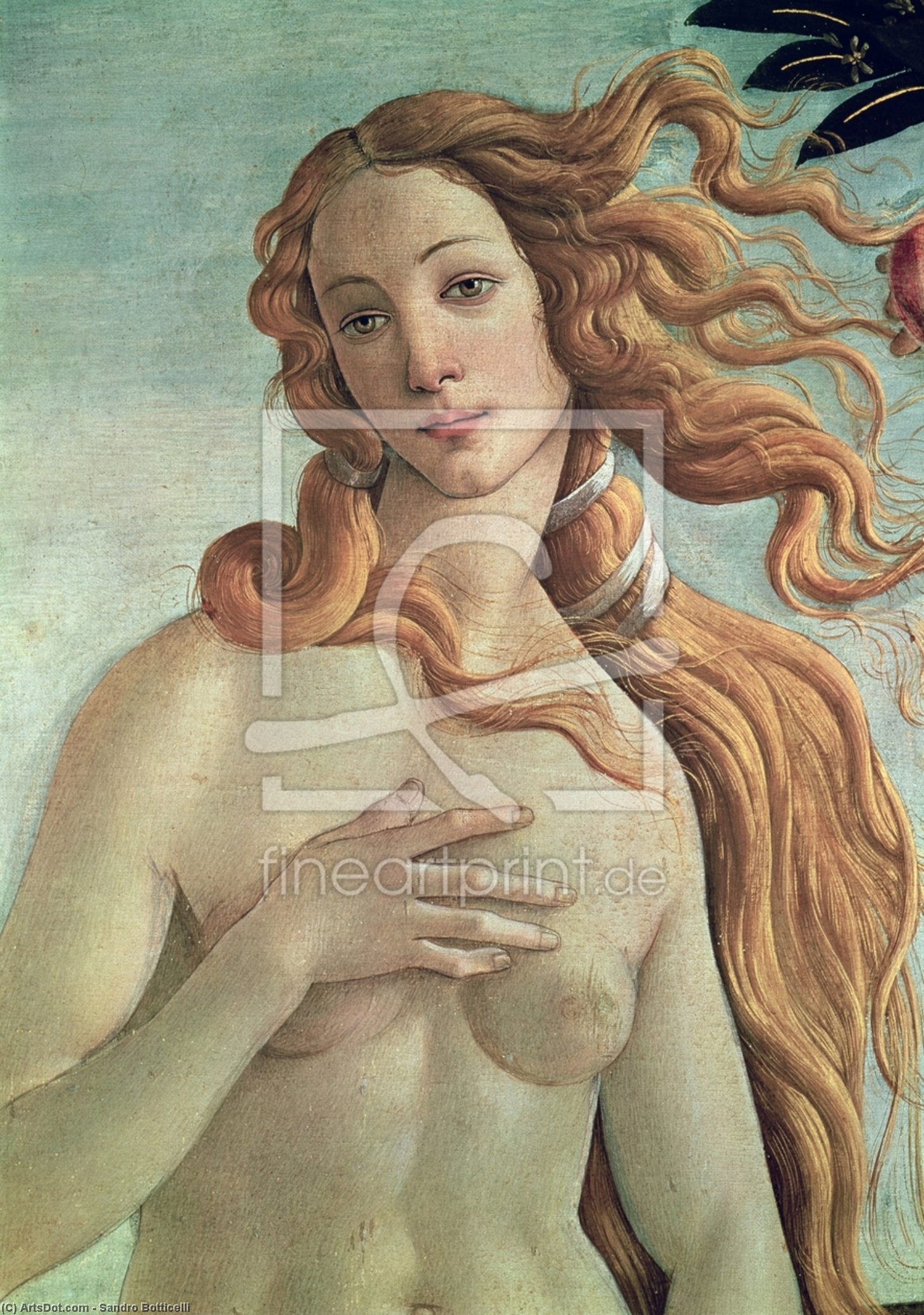 Venus, Detail From The Birth Of Venus — Sandro Botticelli