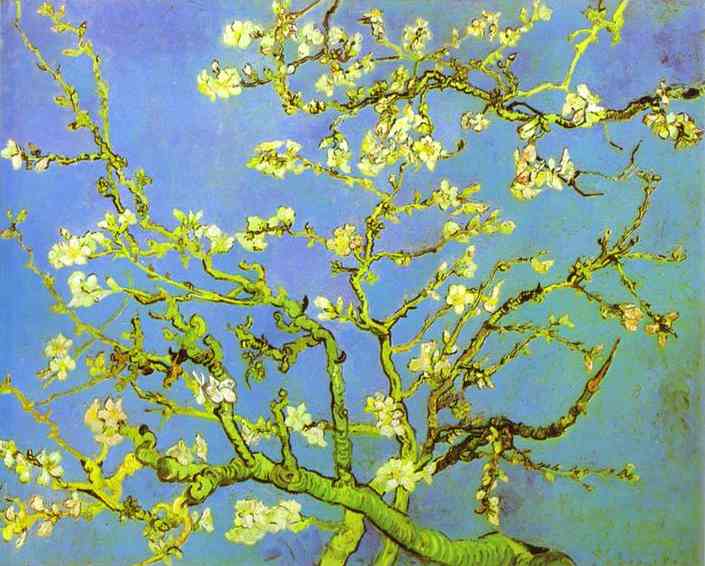Branches Of Almond Tree In Bloom. Saint-rémy — Vincent Willem Van Gogh
