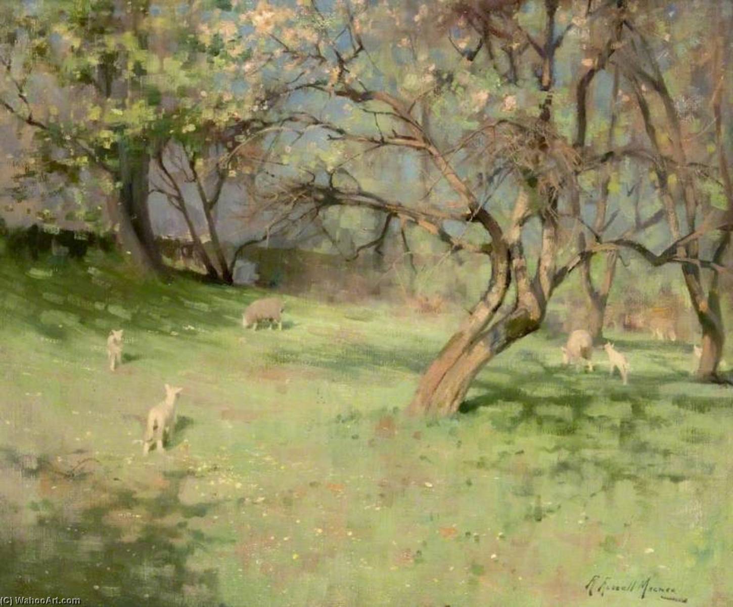 Maytime — Robert Russell Macnee