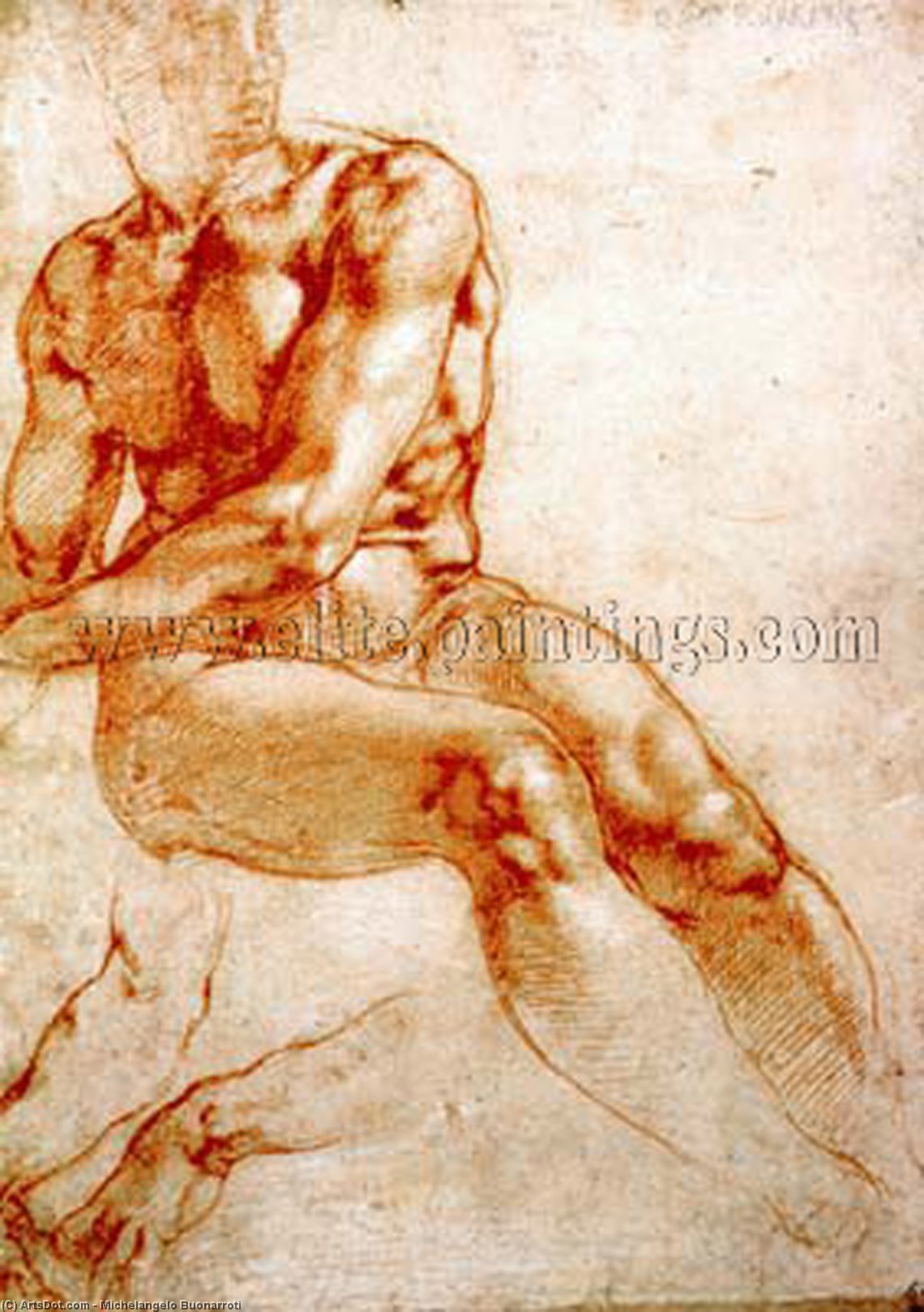 Male Nude Study (red Chalk) — Michelangelo Buonarroti