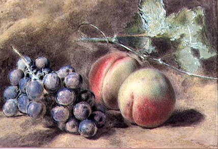 Grapes And Peaches, 19th Century — William Henry Hunt