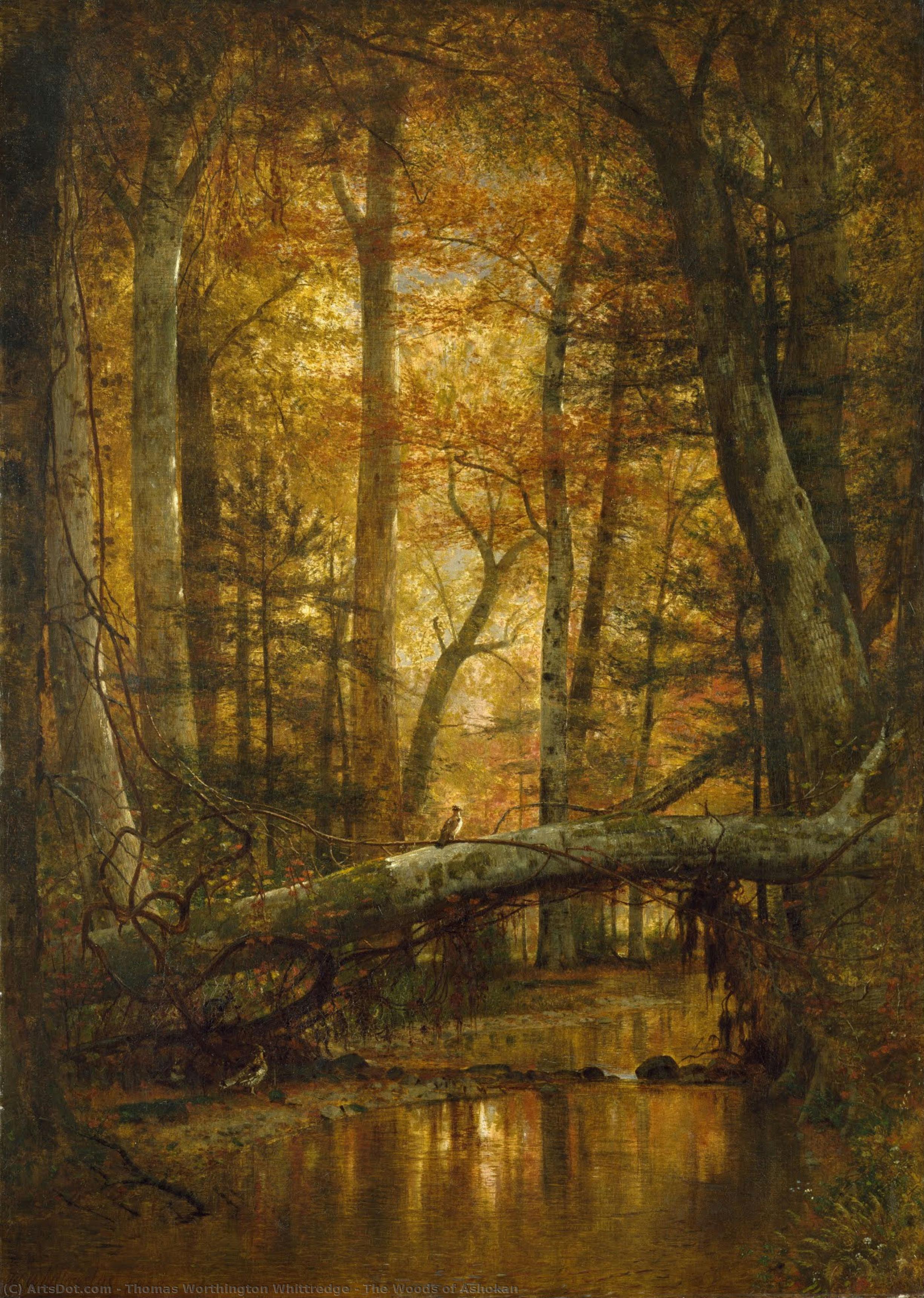 The Woods Of Ashokan — Thomas Worthington Whittredge