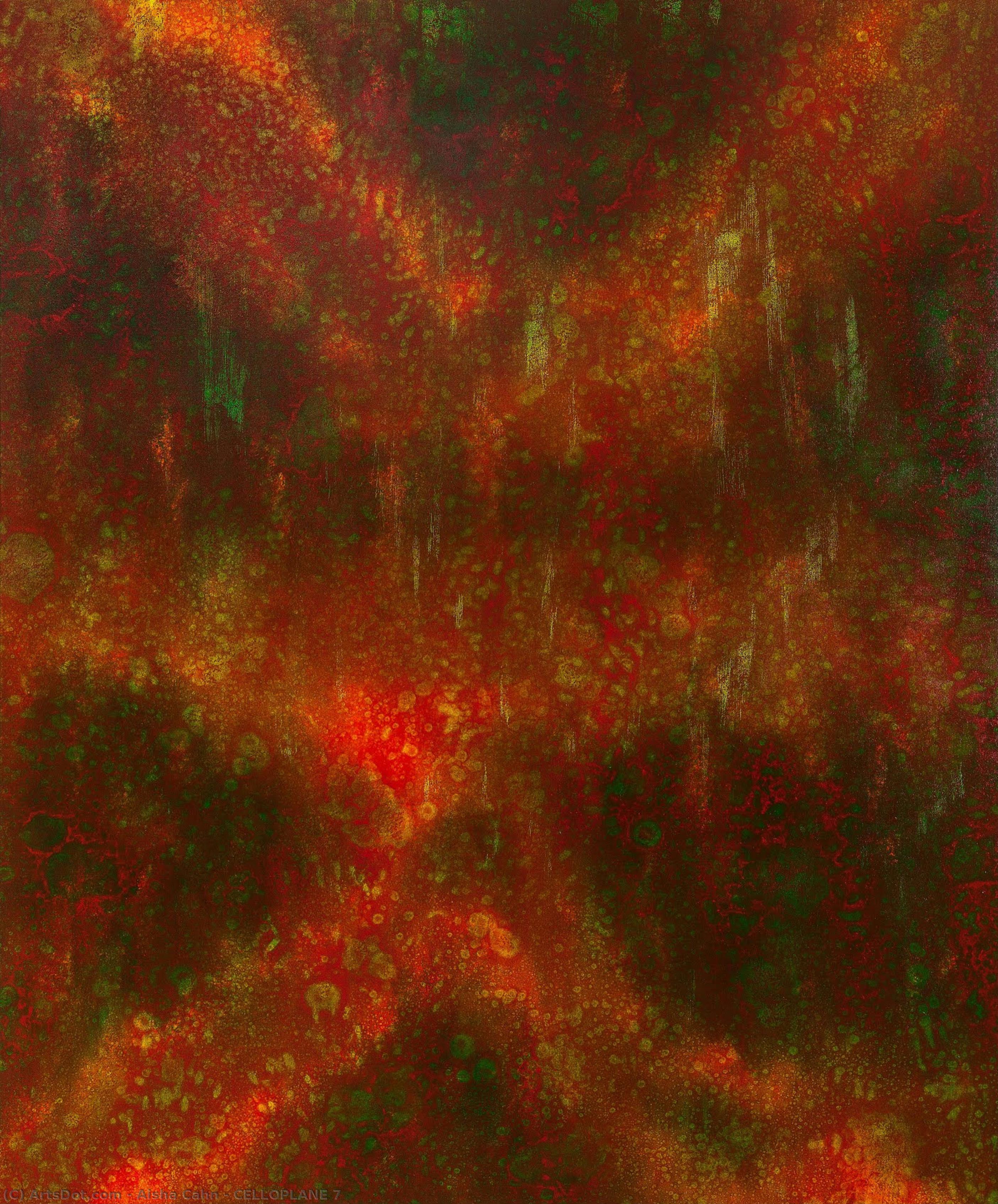 Celloplane 7 — Aisha Cahn