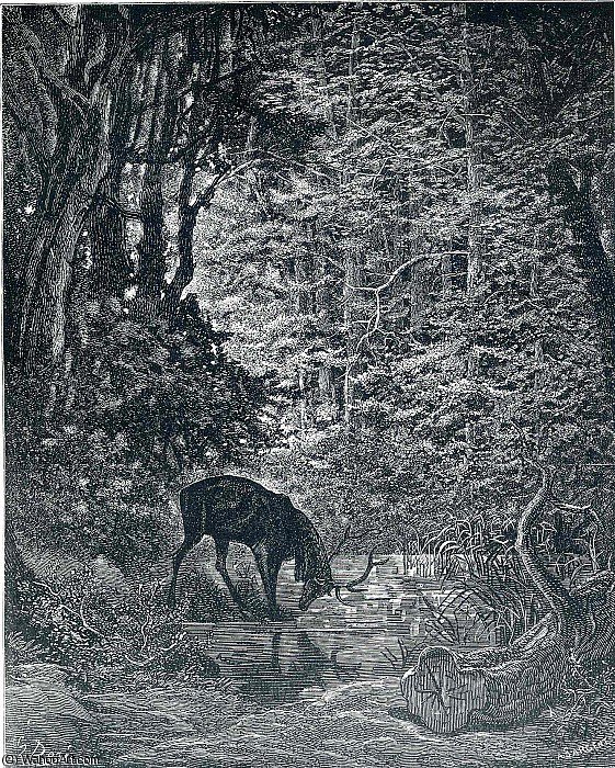 Untitled (8116) — Paul Gustave Doré