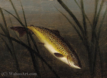 A Trout On A Line; And A Trout Leaping — A. Roland Knight