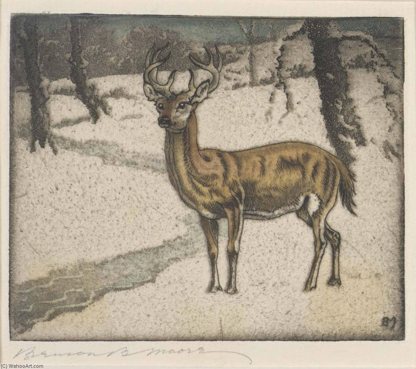 Deer — Benson B Moore