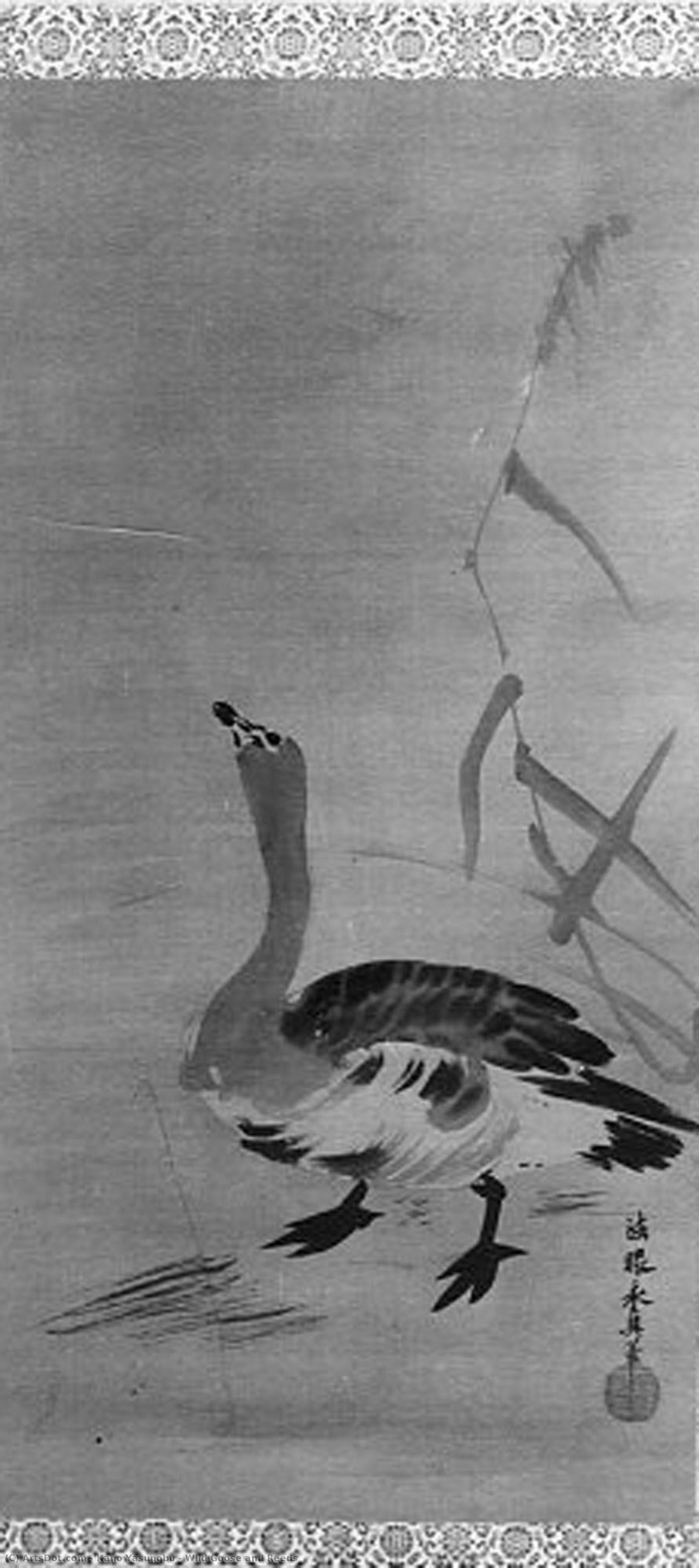 Wild Goose And Reeds — Kano Yasunobu