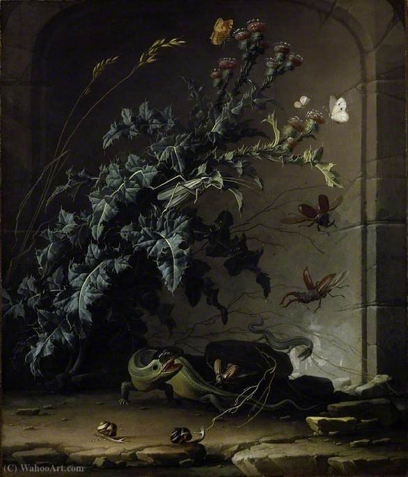 Stone Niche With Thistle, Lizard And Insects — Elias Van Den Broeck