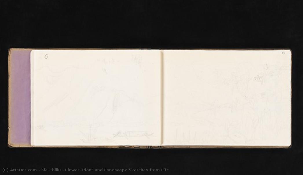 Flower, Plant And Landscape Sketches From Life — Xie Zhiliu