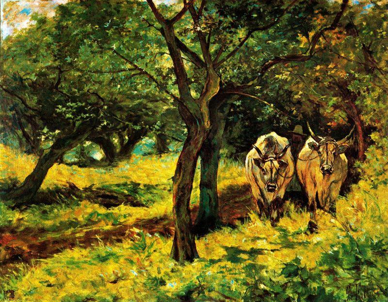 Oxen In An Olive Grove — Giovanni Fattori
