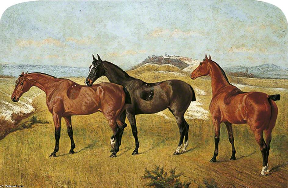 'whissendine', 'swallow' And 'tiptop' — George Paice