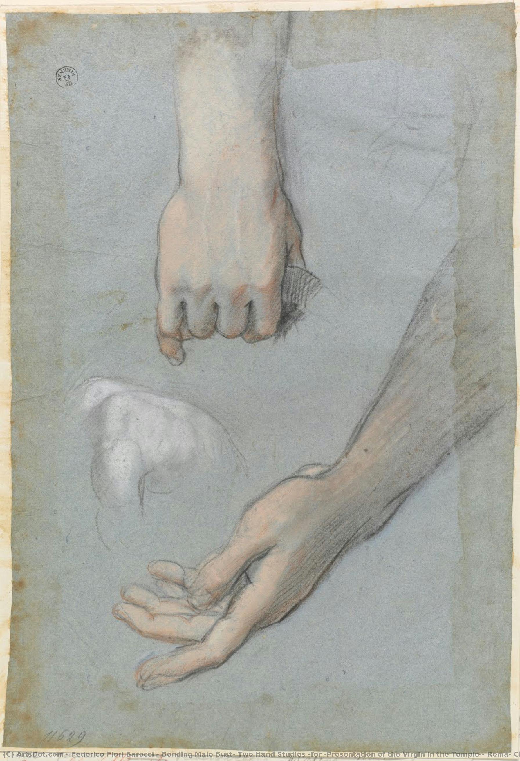 Bending Male Bust; Two Hand Studies (for “presentation Of The Virgin In The Temple”, Roma, Church Of Santa Maria In Vallicella) — Federico Fiori Barocci