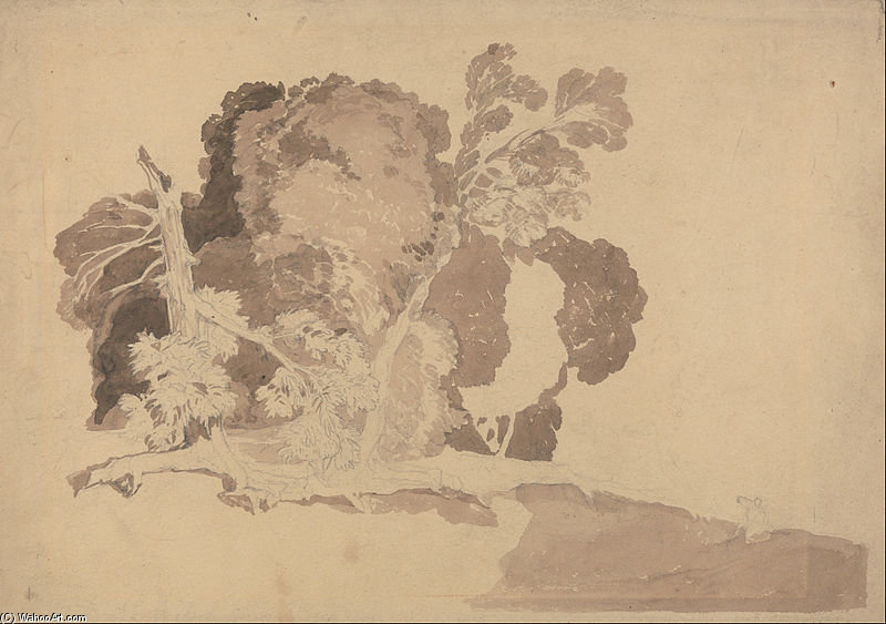Study Of Trees — John Sell Cotman