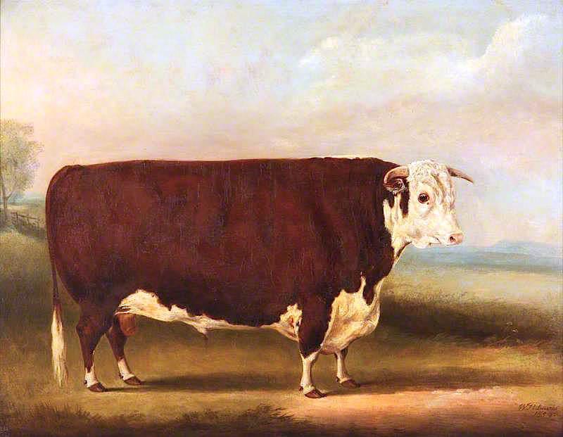 Hereford Bull Walford' — William Henry Davis