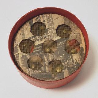 Object Beehive — Joseph Cornell