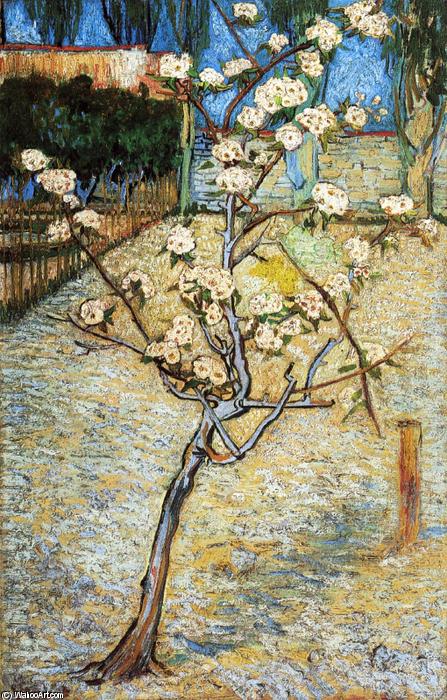 Pear Tree In Blossom — Vincent Willem Van Gogh