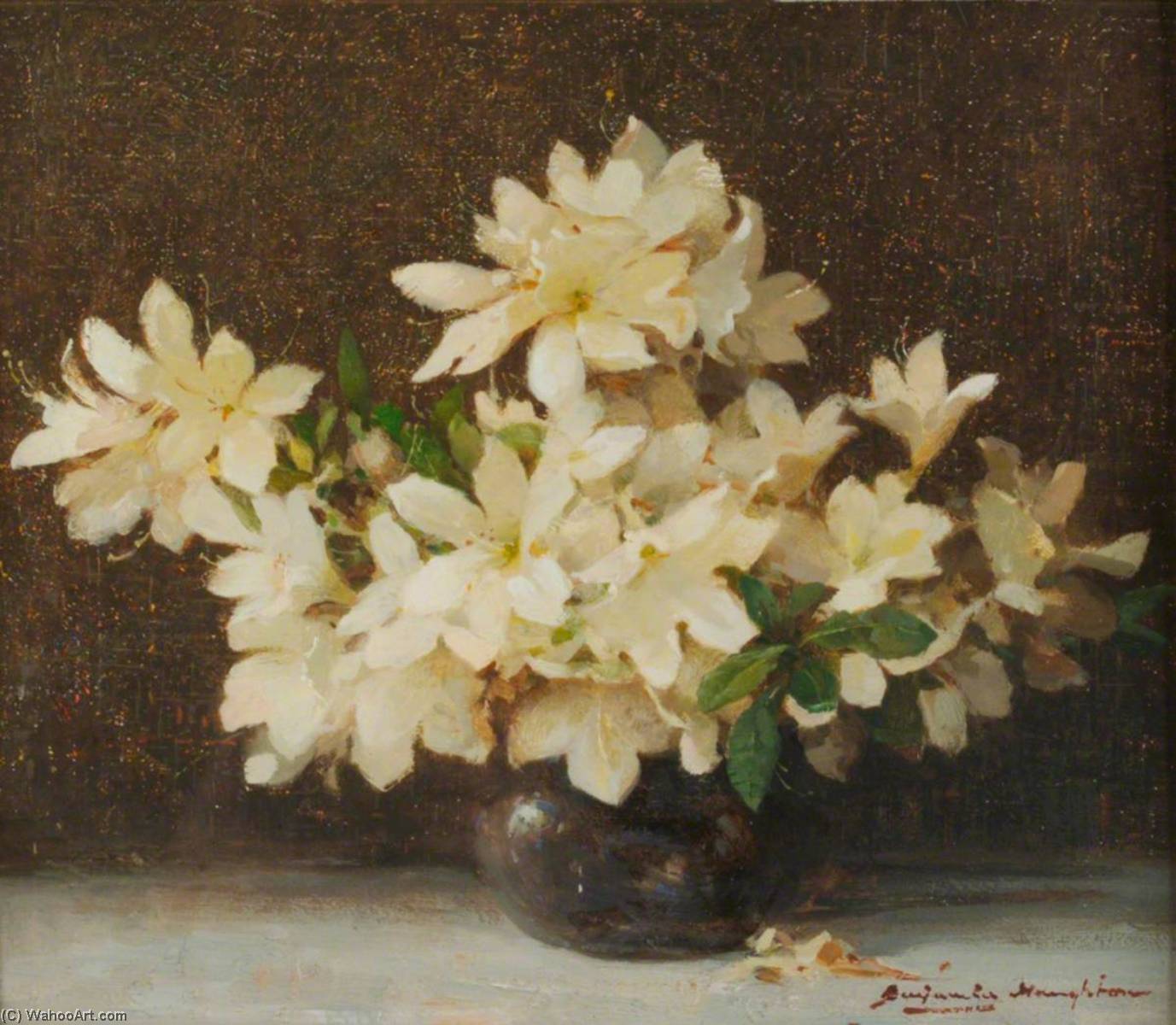 Christmas Roses — Benjamin Haughton