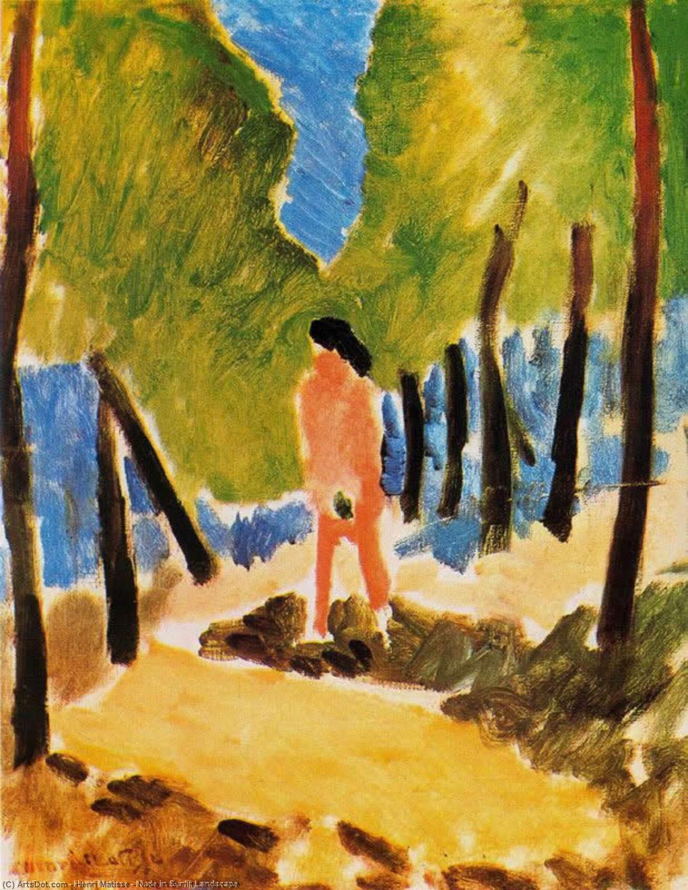 Nude In Sunlit Landscape — Henri Matisse