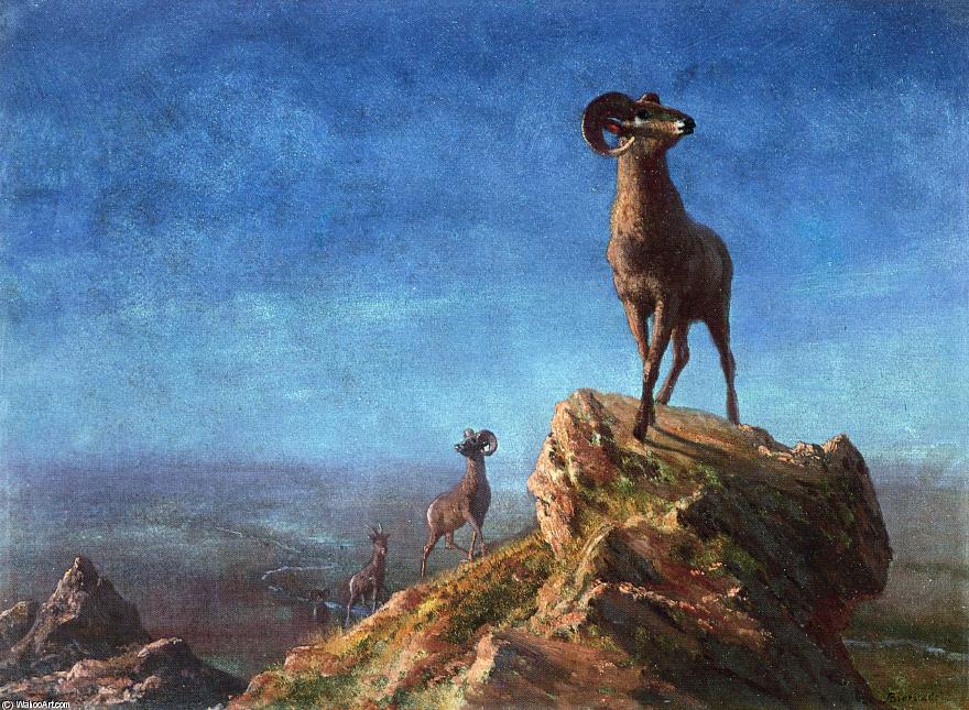 Rocky Mountain Big Horns — Albert Bierstadt