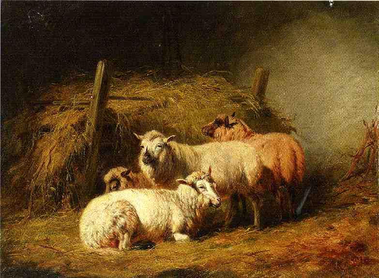 Sheep In Shed — Arthur Fitzwilliam Tait
