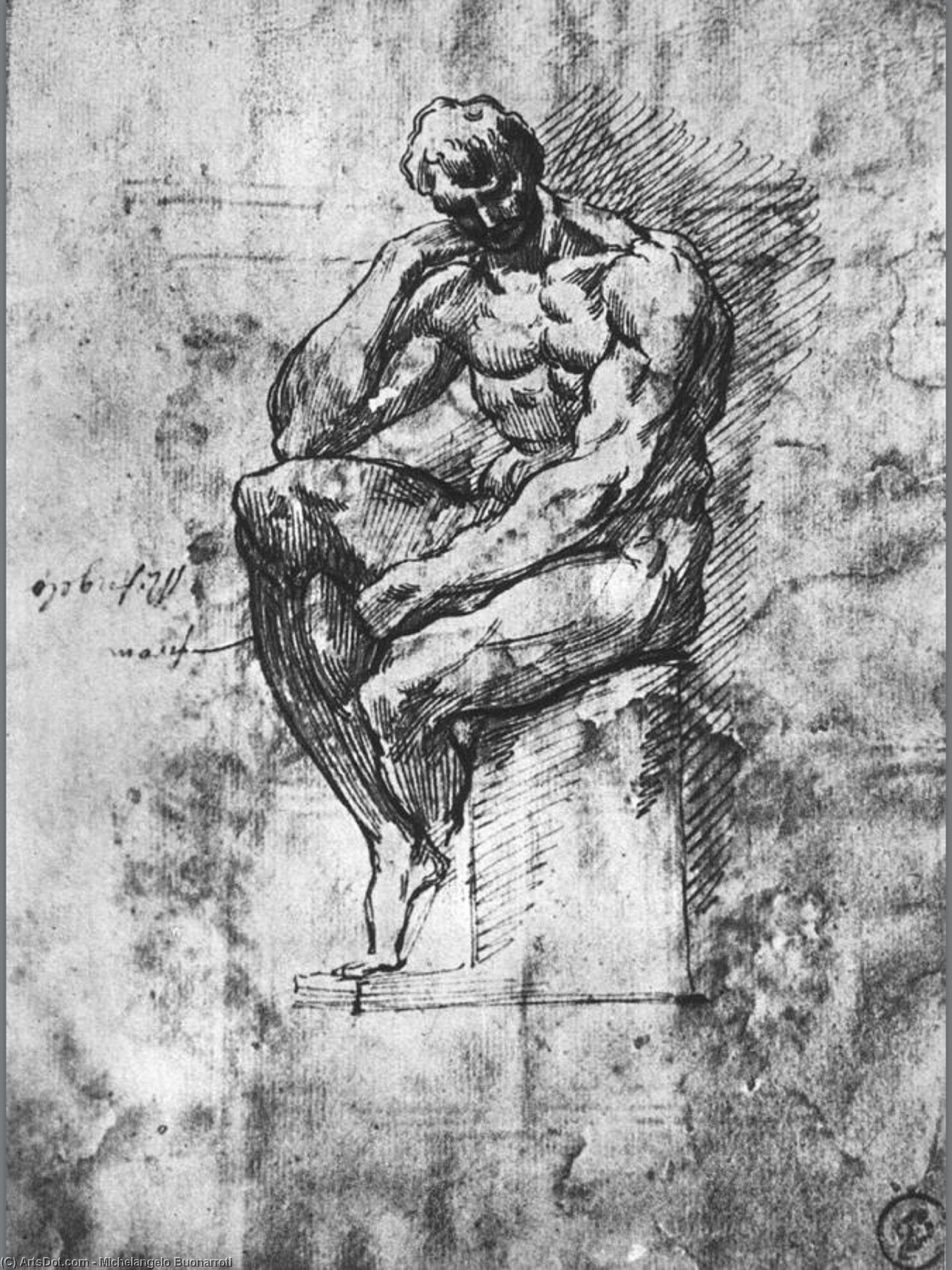 Sistine Chapel-study Of A Man — Michelangelo Buonarroti